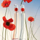 Kenzo Flower by Eau de Parfum Femme Pub