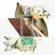 Hermes Un Jardin sur le Nil Eau de Toilette
