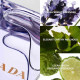 Prada Amber Pour Homme Eau de Toilette